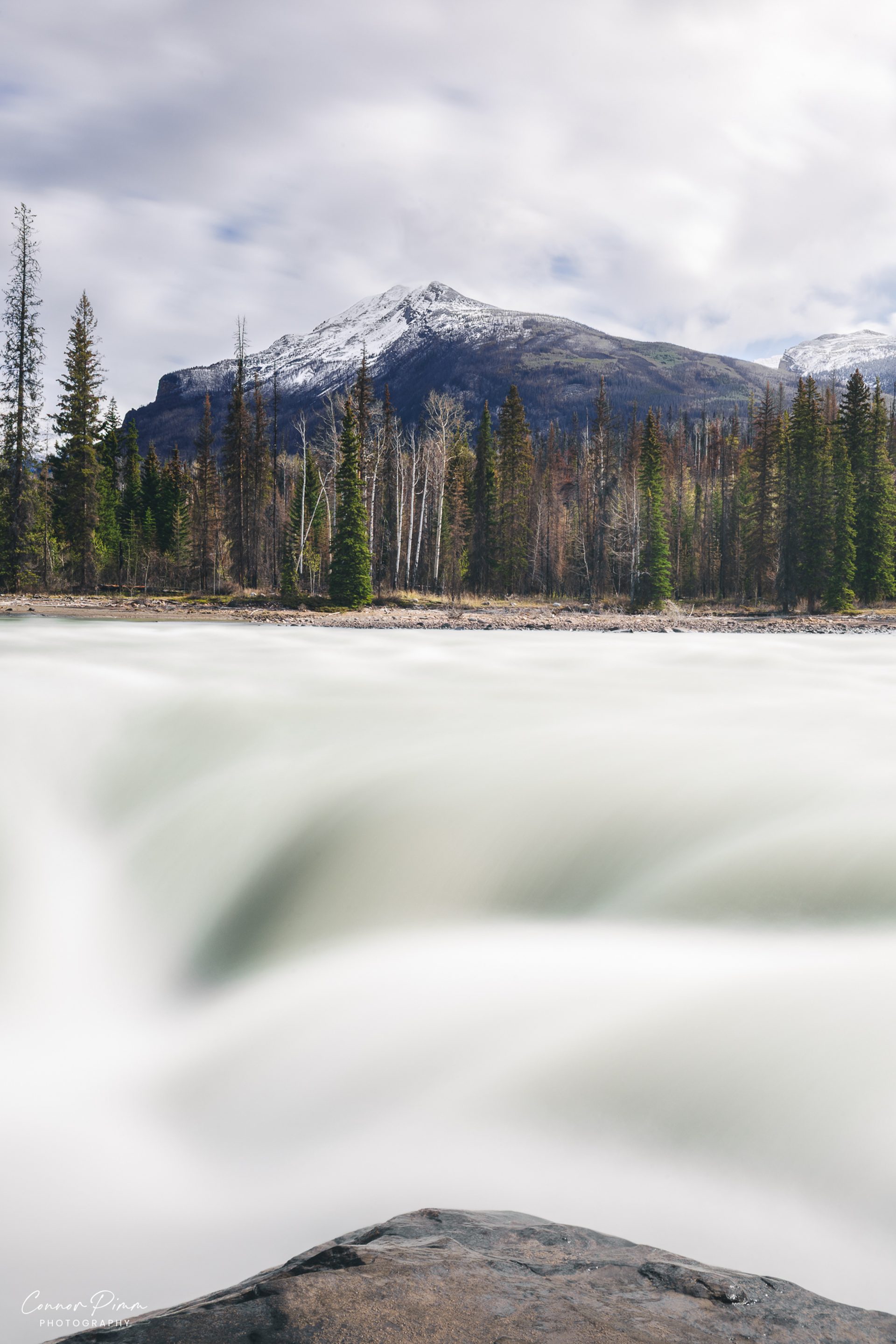 Athabasca Falls in Jasper National Park, the water turned to a smooth white blur between a dark foreground rock and pine trees below a snowy mountain.