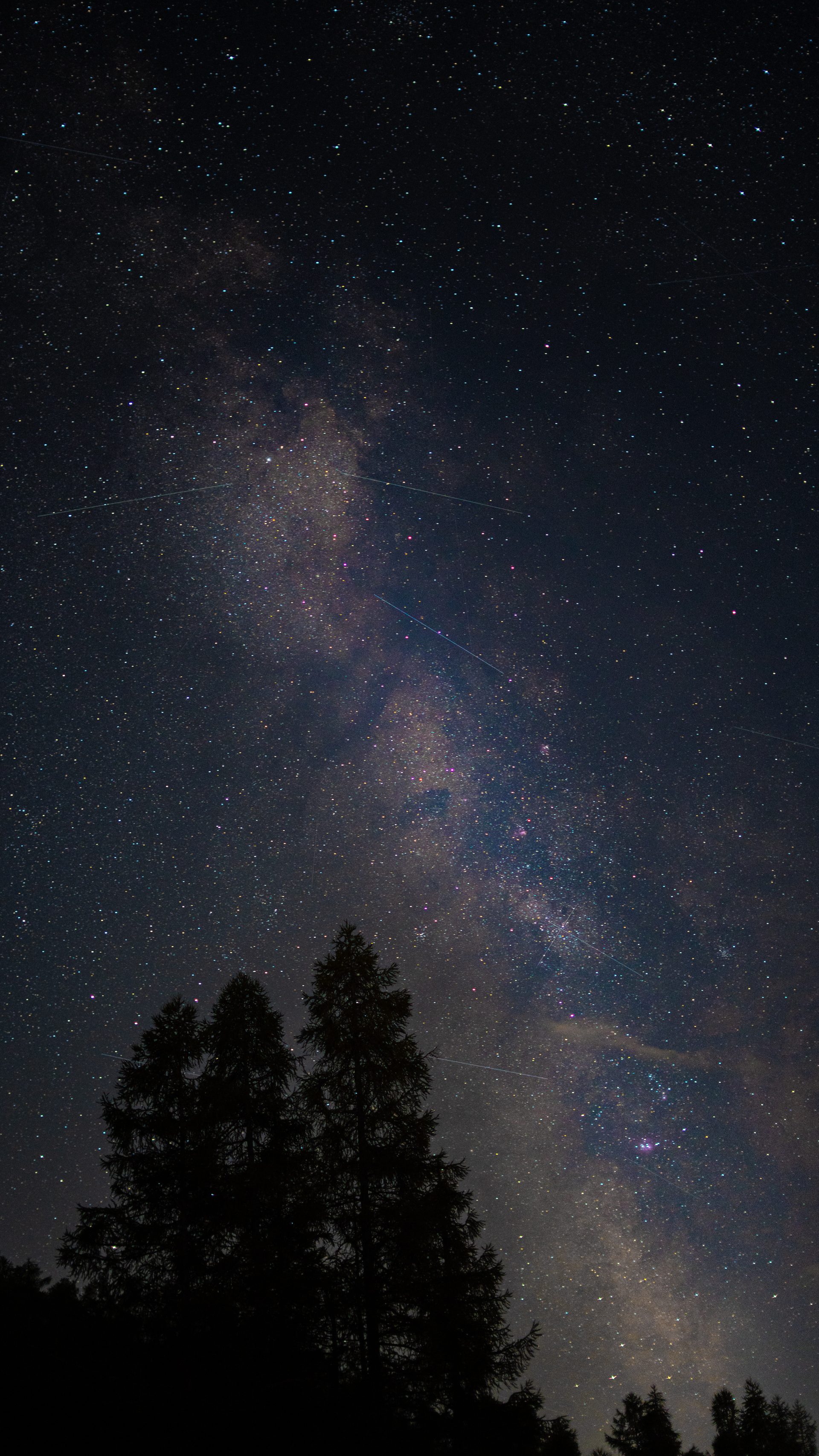 The Milky Way rising over a row of dark conifers in a Swiss valley, with a few thin light trails across the stars.