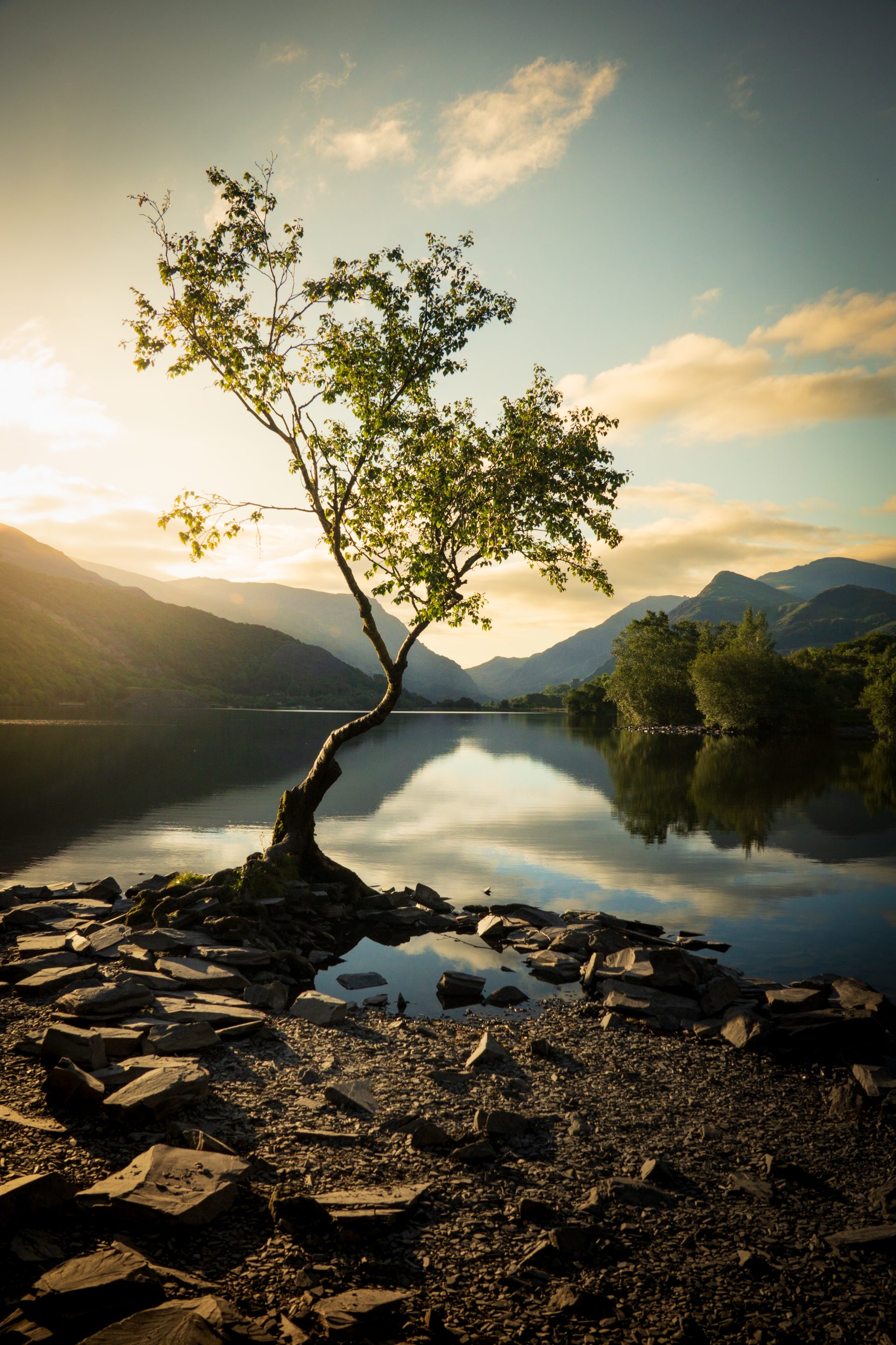 Probably one of my favourite mornings. An early start to capture golden hour in snowdonia with the lonely tree.