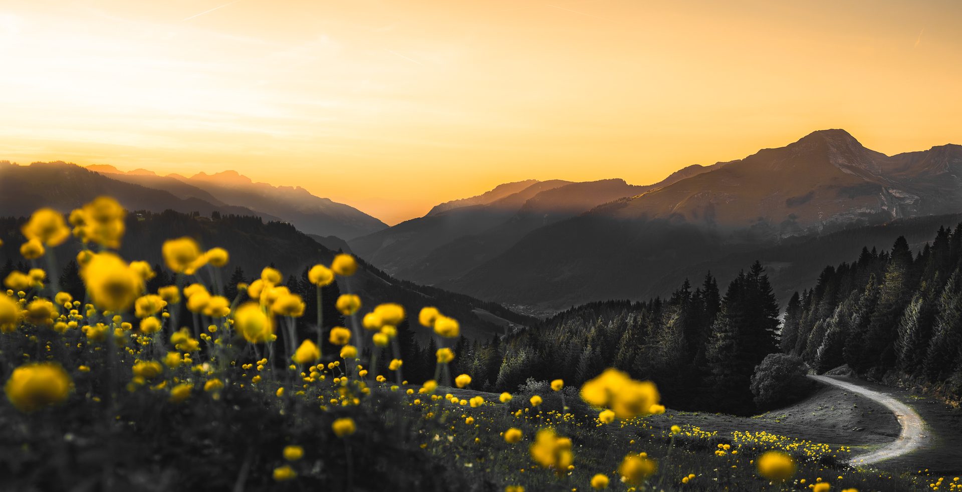 Photograph by Tom Dalton