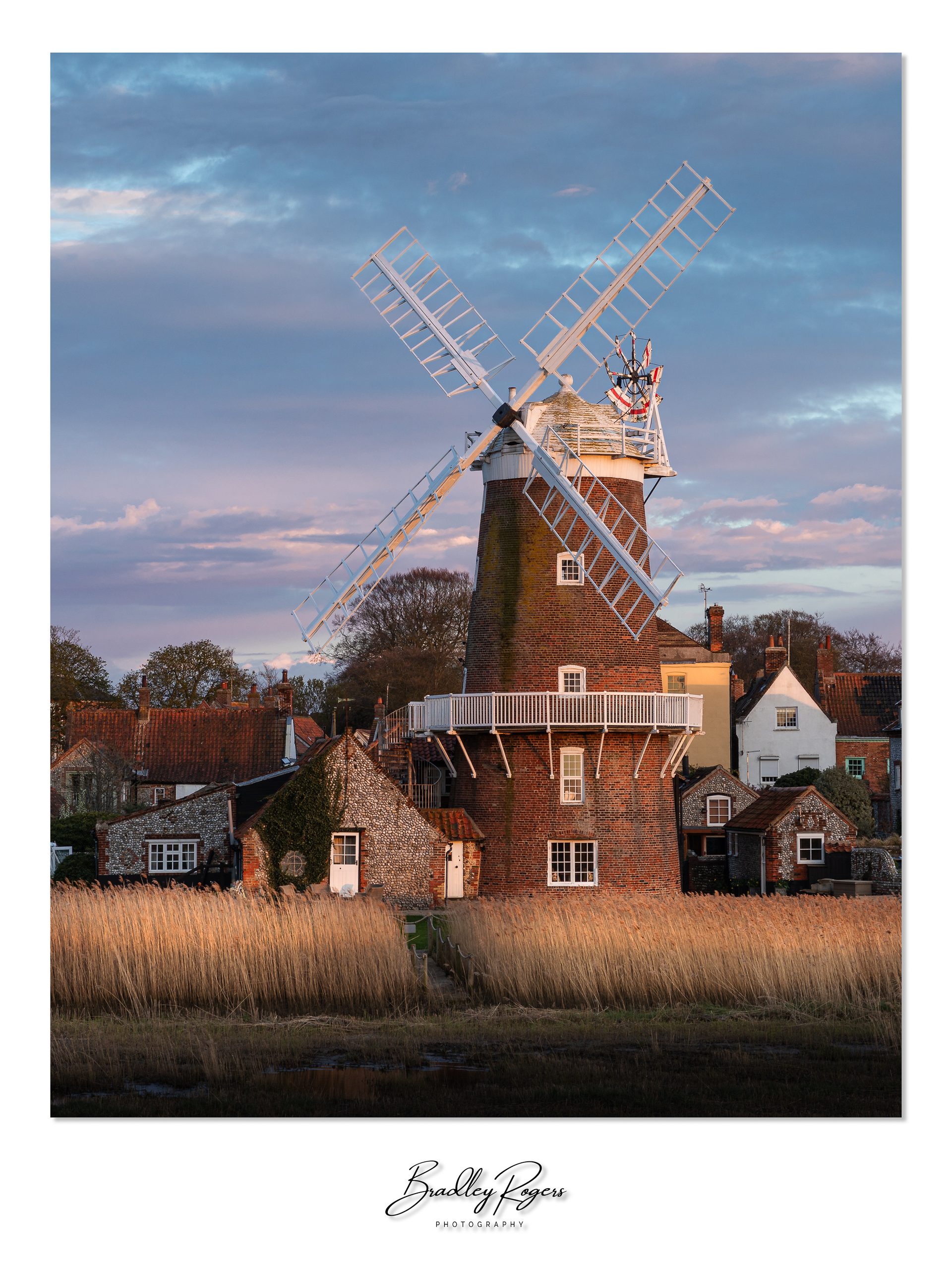 Cley windmill and the flint cottages around it lit warm by low evening sun, with reed beds in front and pink and blue cloud behind.