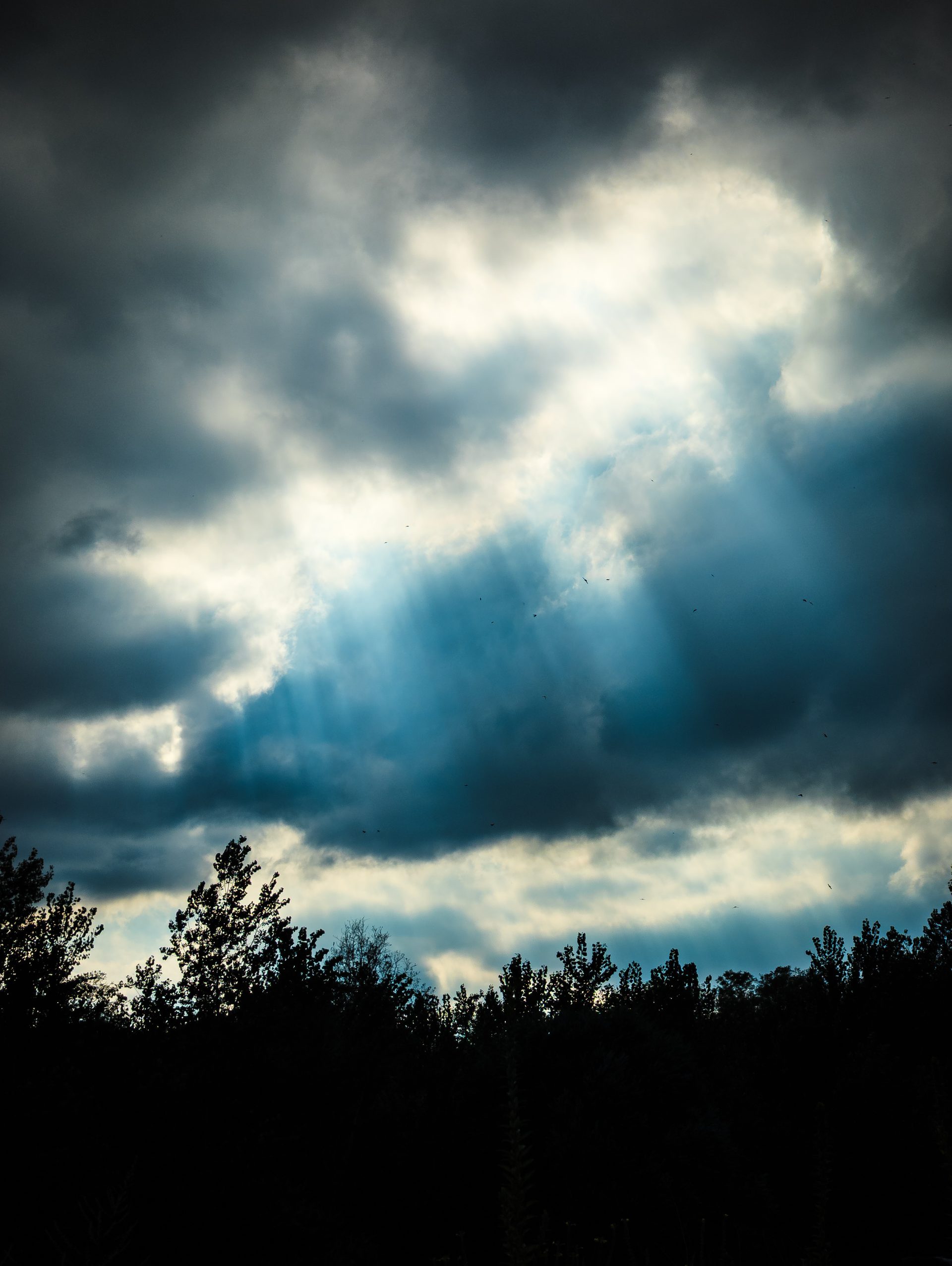 Sun rays breaking through a gap in heavy cloud over a line of dark trees.