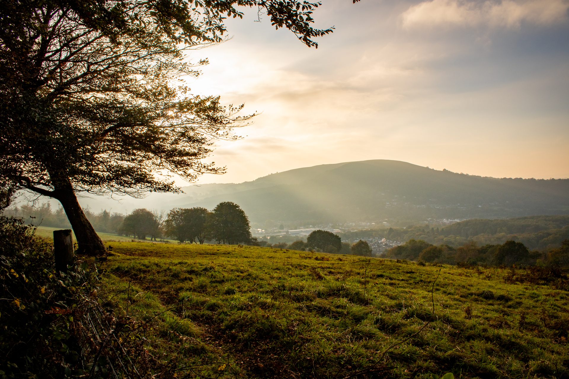 Autumn fields and trees in warm, low golden light, with a hill fading into haze behind.