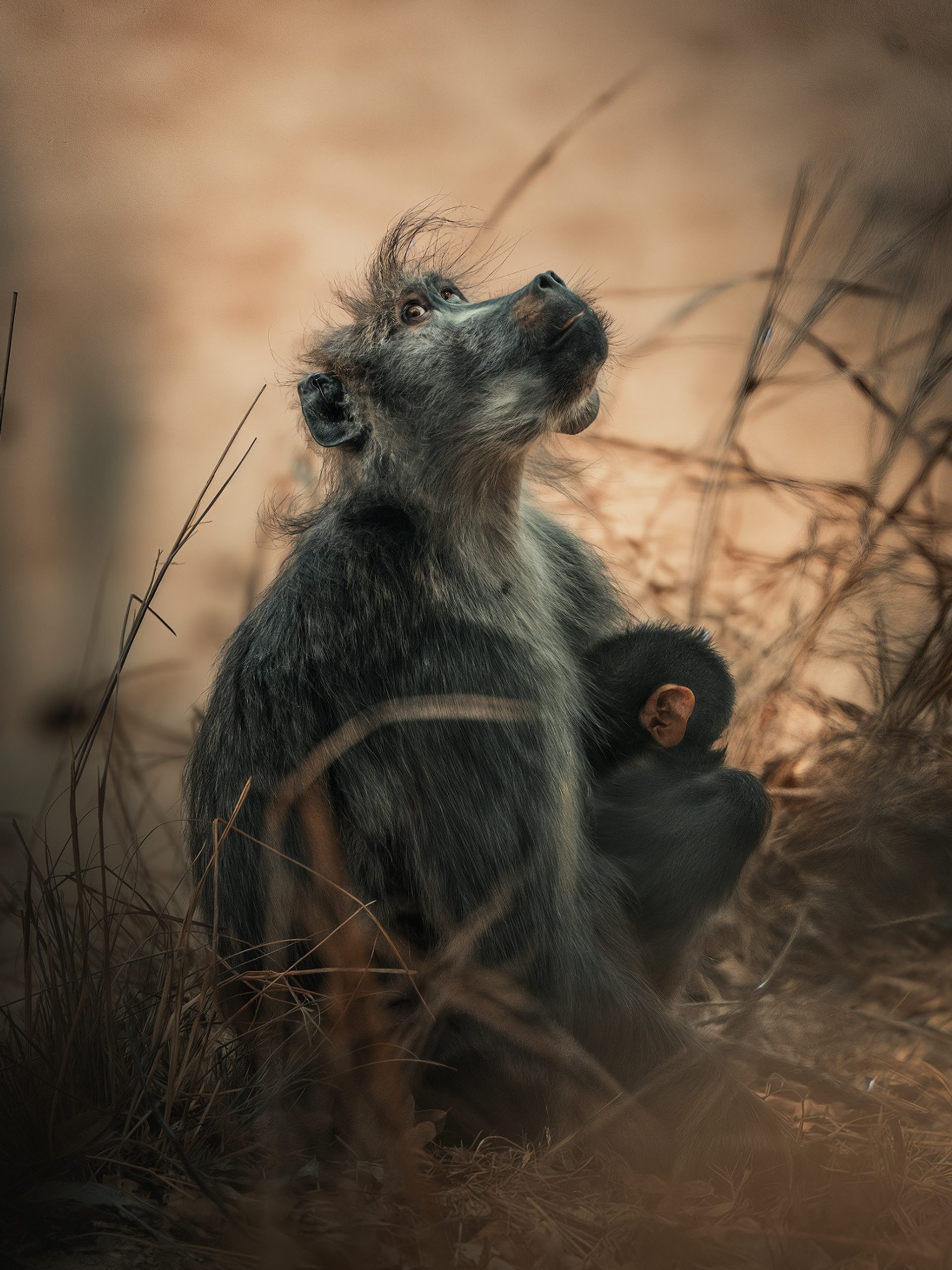 Photograph by Malcolm Coombes