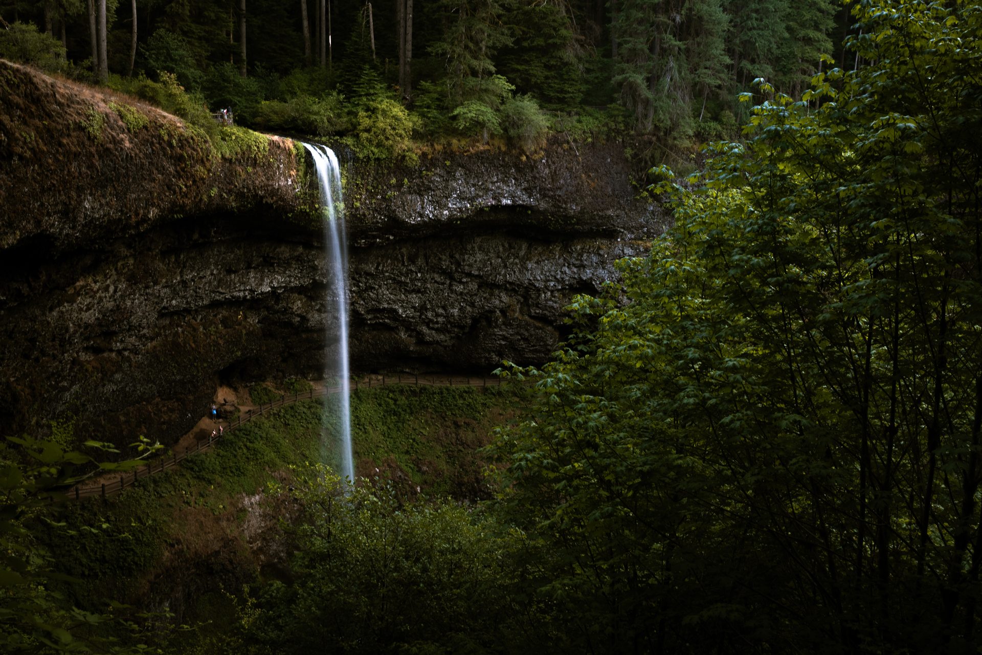 A tall, thin waterfall dropping from a rock overhang into a wooded gorge at dusk, the water smoothed into a white ribbon.